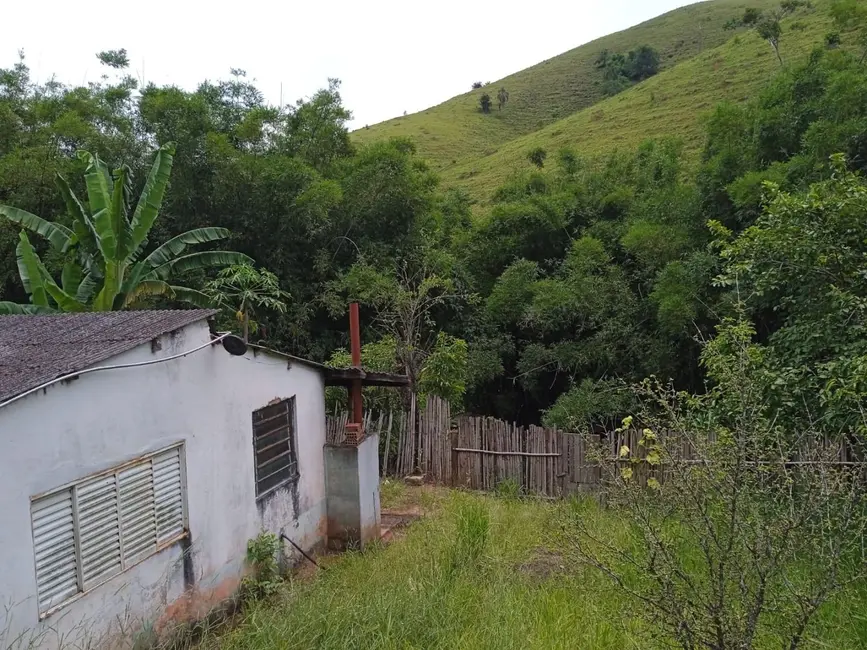 Sítio / Rancho com 4 quartos à venda, 145000m2 em Guaratingueta - SP - imagem 3 Foto 3 de Sítio / Rancho com 4 quartos à venda, 145000m2 em Guaratingueta - SP