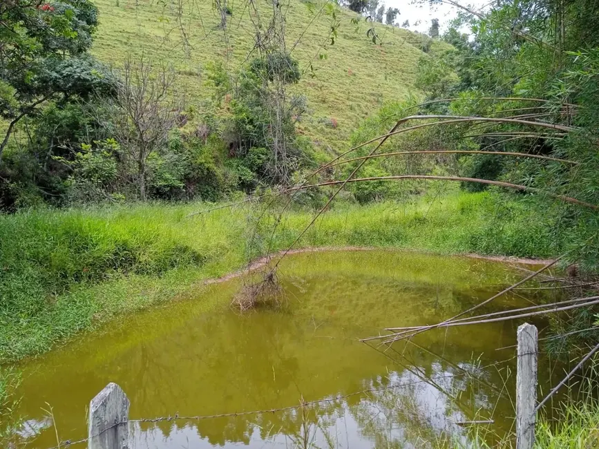Sítio / Rancho com 4 quartos à venda, 145000m2 em Guaratingueta - SP - imagem 9 Foto 9 de Sítio / Rancho com 4 quartos à venda, 145000m2 em Guaratingueta - SP