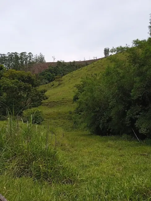 Sítio / Rancho com 4 quartos à venda, 145000m2 em Guaratingueta - SP - imagem 8 Foto 8 de Sítio / Rancho com 4 quartos à venda, 145000m2 em Guaratingueta - SP