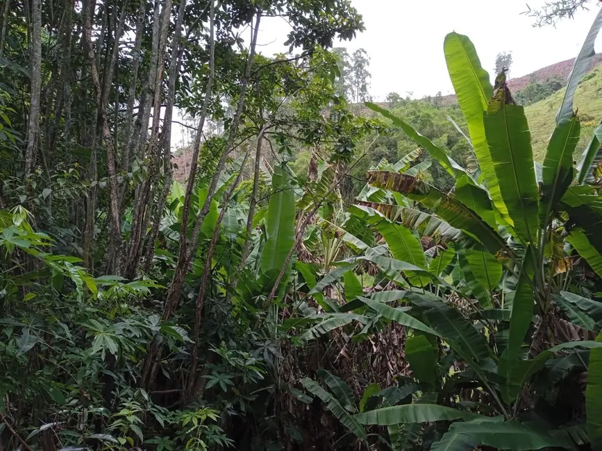 Sítio / Rancho com 4 quartos à venda, 145000m2 em Guaratingueta - SP - imagem 7 Foto 7 de Sítio / Rancho com 4 quartos à venda, 145000m2 em Guaratingueta - SP