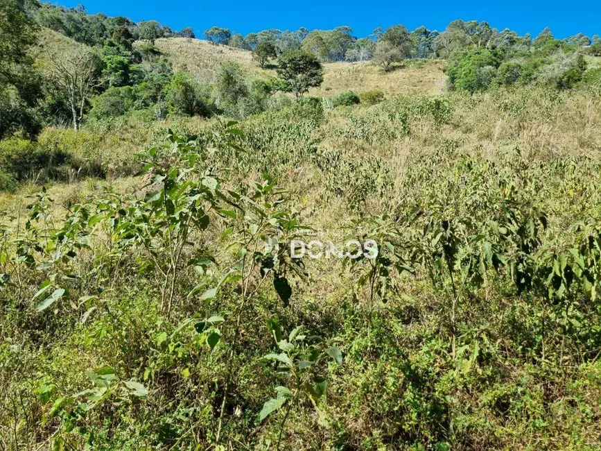 Foto 3 de Sítio / Rancho à venda, 72600m2 em Cunha - SP