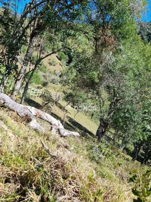 Foto 4 de Sítio / Rancho à venda, 72600m2 em Cunha - SP
