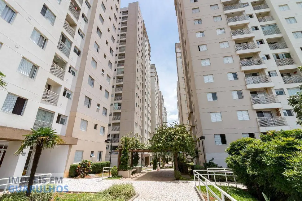 Apartamento com 3 quartos à venda, 63m2 em Ponte Grande, Guarulhos - SP - imagem 7 Foto 7 de Apartamento com 3 quartos à venda, 63m2 em Ponte Grande, Guarulhos - SP