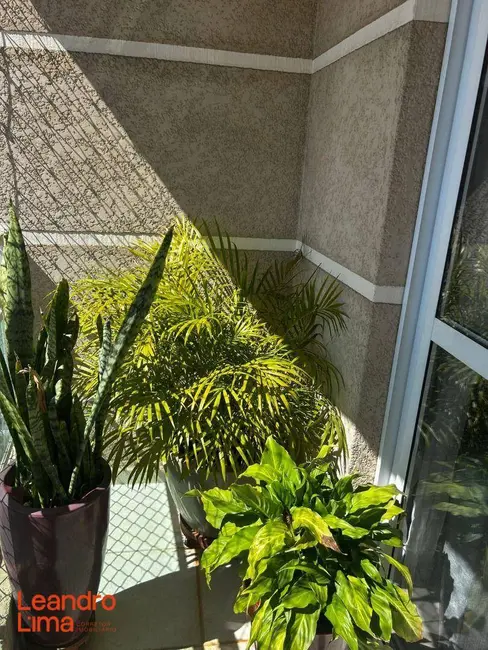 Foto 9 de Apartamento com 2 quartos à venda, 61m2 em Jardim Barbosa, Guarulhos - SP