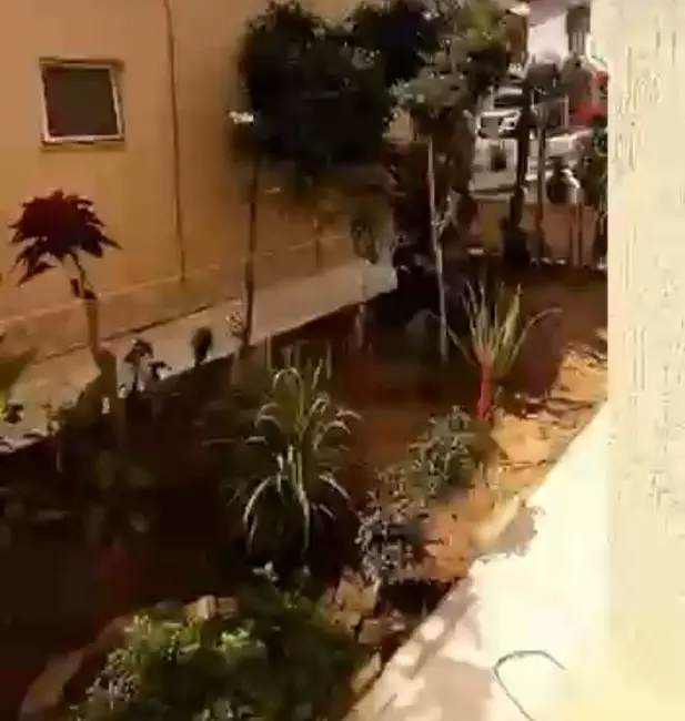 Casa de Condomínio com 2 quartos à venda, 100m2 em Vila São João Batista, Guarulhos - SP - imagem 3 Foto 3 de Casa de Condomínio com 2 quartos à venda, 100m2 em Vila São João Batista, Guarulhos - SP