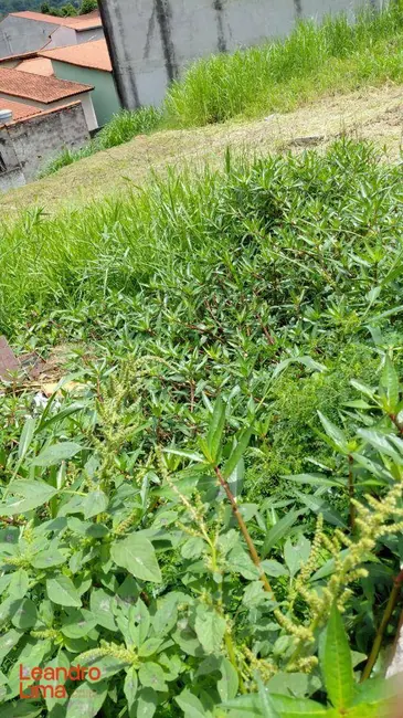 Foto 1 de Terreno / Lote à venda, 166m2 em Parque Flamengo, Guarulhos - SP