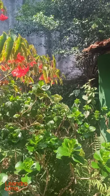 Foto 3 de Casa com 2 quartos à venda, 295m2 em Gopoúva, Guarulhos - SP