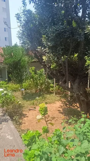 Foto 2 de Casa com 2 quartos à venda, 295m2 em Gopoúva, Guarulhos - SP