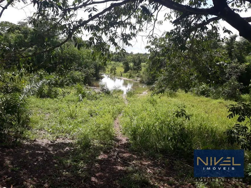 Foto 5 de Fazenda / Haras à venda, 2722500m2 em Pium - TO