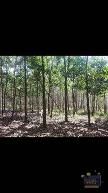 Foto 6 de Sala Comercial à venda, 871200m2 em Centro, Luziania - GO