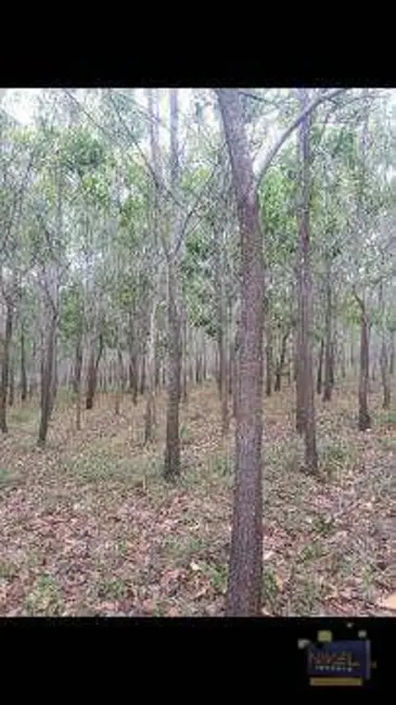 Foto 4 de Sala Comercial à venda, 871200m2 em Centro, Luziania - GO