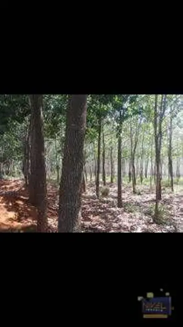 Foto 7 de Sala Comercial à venda, 871200m2 em Centro, Luziania - GO