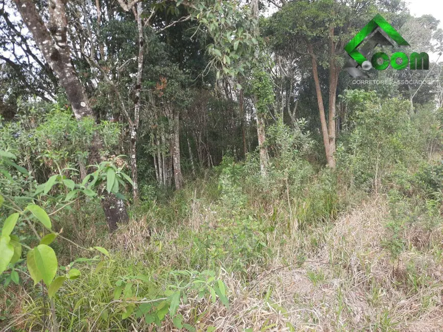 Foto 9 de Sala Comercial à venda, 20000m2 em Centro, Bom Jesus Dos Perdoes - SP