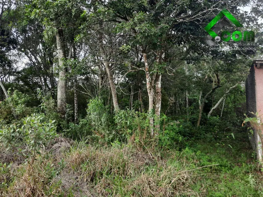 Foto 6 de Sala Comercial à venda, 20000m2 em Centro, Bom Jesus Dos Perdoes - SP