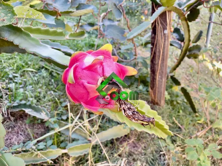 Foto 9 de Casa com 3 quartos à venda, 1100m2 em Jardim Estância Brasil, Atibaia - SP