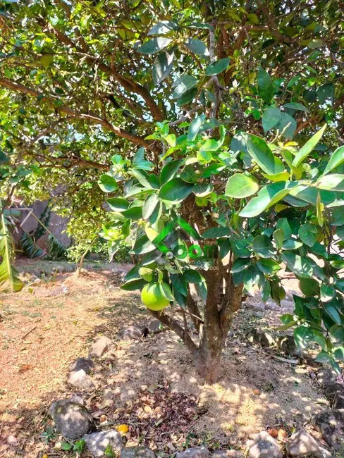 Foto 8 de Terreno / Lote à venda, 460m2 em Vila Santista, Atibaia - SP