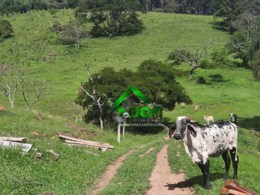 Foto 5 de Sítio / Rancho com 3 quartos à venda, 48000m2 em Piracaia - SP