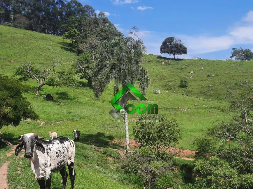 Foto 6 de Sítio / Rancho com 3 quartos à venda, 48000m2 em Piracaia - SP