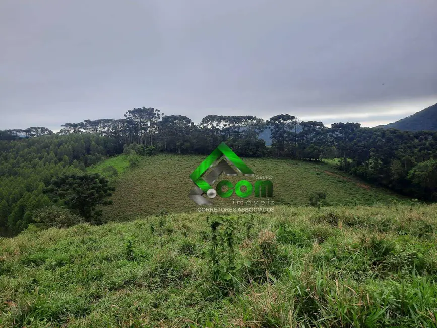 Foto 6 de Sítio / Rancho com 2 quartos à venda, 411400m2 em Piracaia - SP