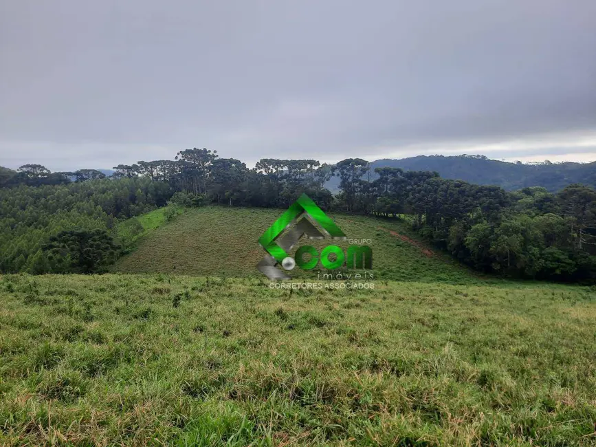 Foto 3 de Sítio / Rancho com 2 quartos à venda, 411400m2 em Piracaia - SP