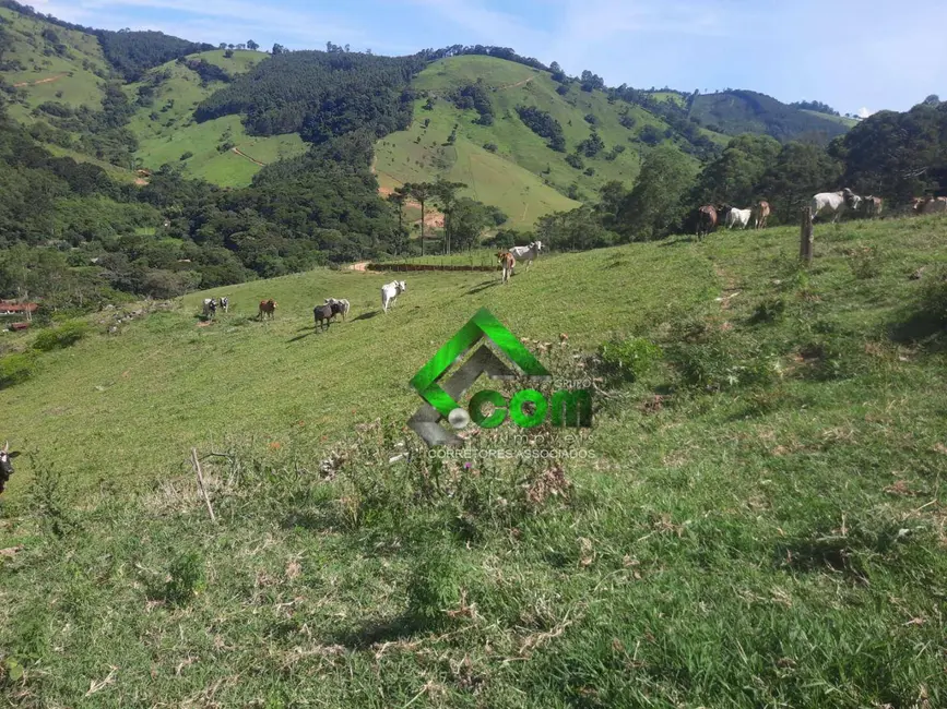 Foto 1 de Sítio / Rancho com 1 quarto à venda, 411400m2 em Joanopolis - SP