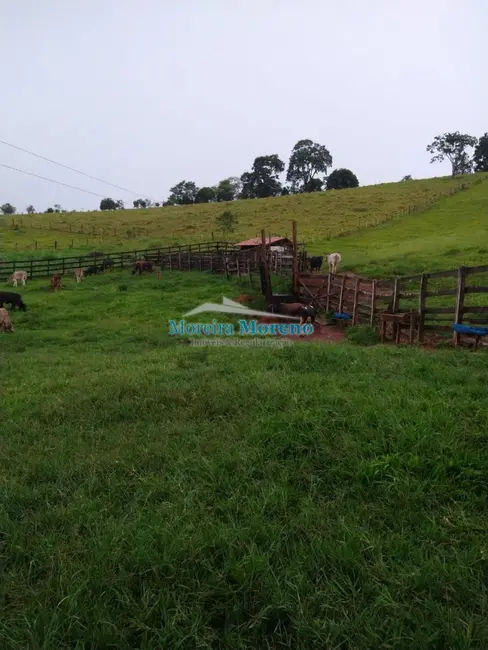Fazenda / Haras com 1 quarto à venda, 11m2 em Borda Da Mata - MG - imagem 8 Foto 8 de Fazenda / Haras com 1 quarto à venda, 11m2 em Borda Da Mata - MG