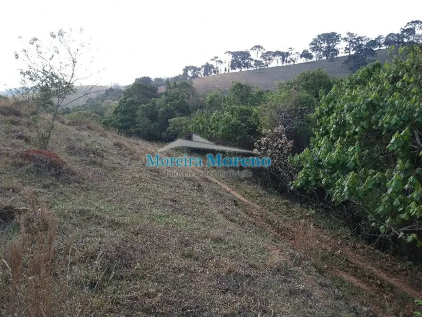 Fazenda / Haras à venda em Borda Da Mata - MG - imagem 3 Foto 3 de Fazenda / Haras à venda em Borda Da Mata - MG