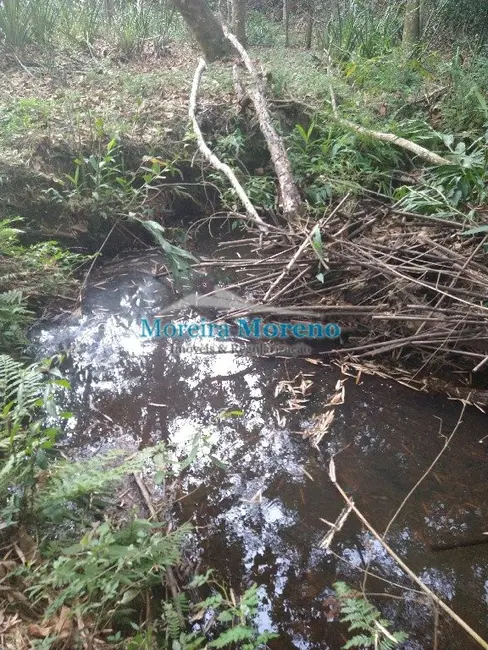 Fazenda / Haras à venda em Borda Da Mata - MG - imagem 7 Foto 7 de Fazenda / Haras à venda em Borda Da Mata - MG