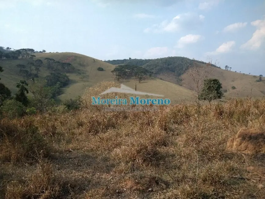 Fazenda / Haras à venda em Borda Da Mata - MG - imagem 5 Foto 5 de Fazenda / Haras à venda em Borda Da Mata - MG