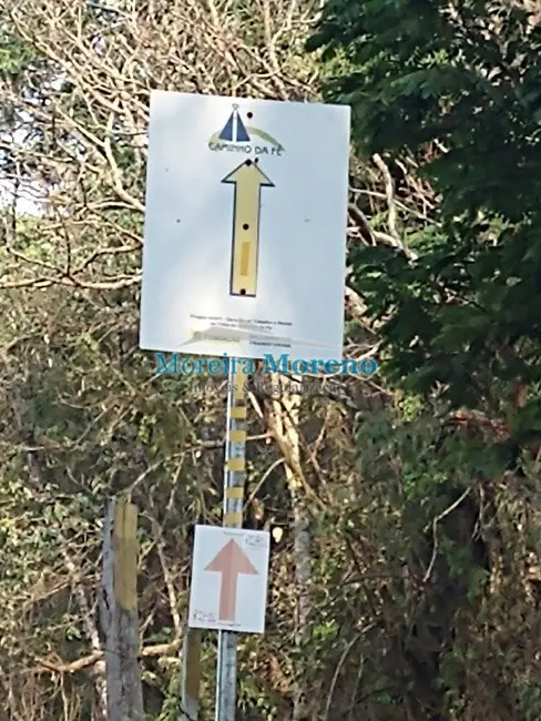 Fazenda / Haras à venda em Borda Da Mata - MG - imagem 8 Foto 8 de Fazenda / Haras à venda em Borda Da Mata - MG