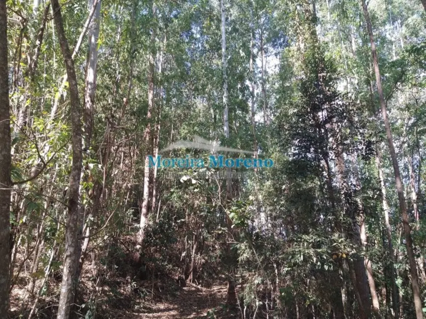 Fazenda / Haras à venda, 9000m2 em Borda Da Mata - MG - imagem 8 Foto 8 de Fazenda / Haras à venda, 9000m2 em Borda Da Mata - MG