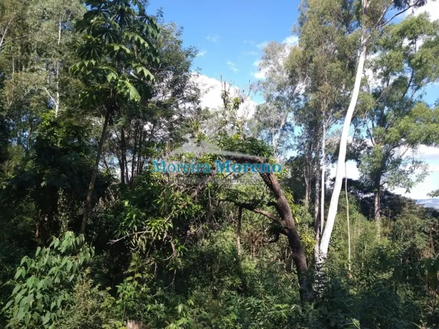 Fazenda / Haras à venda, 9000m2 em Borda Da Mata - MG - imagem 2 Foto 2 de Fazenda / Haras à venda, 9000m2 em Borda Da Mata - MG