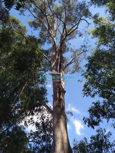 Fazenda / Haras à venda, 9000m2 em Borda Da Mata - MG - imagem 9 Foto 9 de Fazenda / Haras à venda, 9000m2 em Borda Da Mata - MG