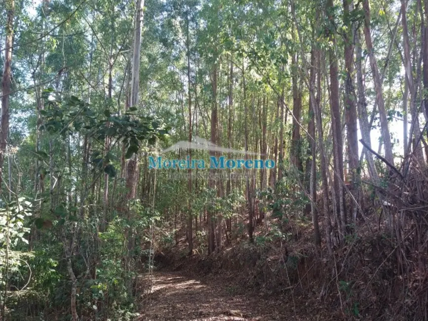 Fazenda / Haras à venda, 9000m2 em Borda Da Mata - MG - imagem 6 Foto 6 de Fazenda / Haras à venda, 9000m2 em Borda Da Mata - MG