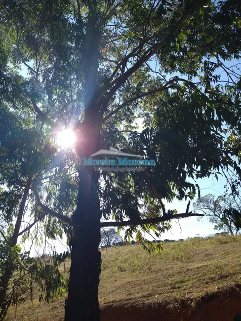 Fazenda / Haras à venda, 9000m2 em Borda Da Mata - MG - imagem 5 Foto 5 de Fazenda / Haras à venda, 9000m2 em Borda Da Mata - MG