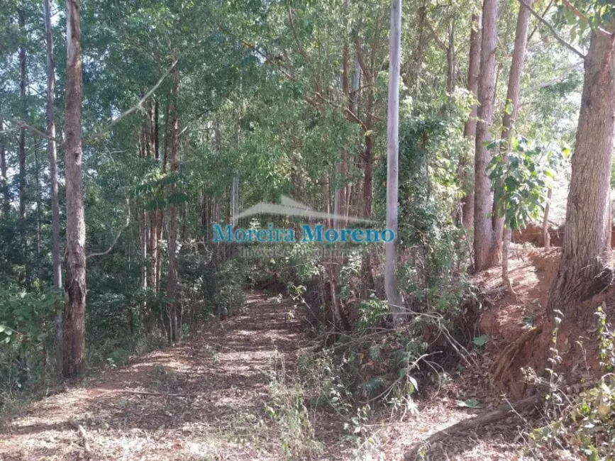 Fazenda / Haras à venda, 9000m2 em Borda Da Mata - MG - imagem 7 Foto 7 de Fazenda / Haras à venda, 9000m2 em Borda Da Mata - MG