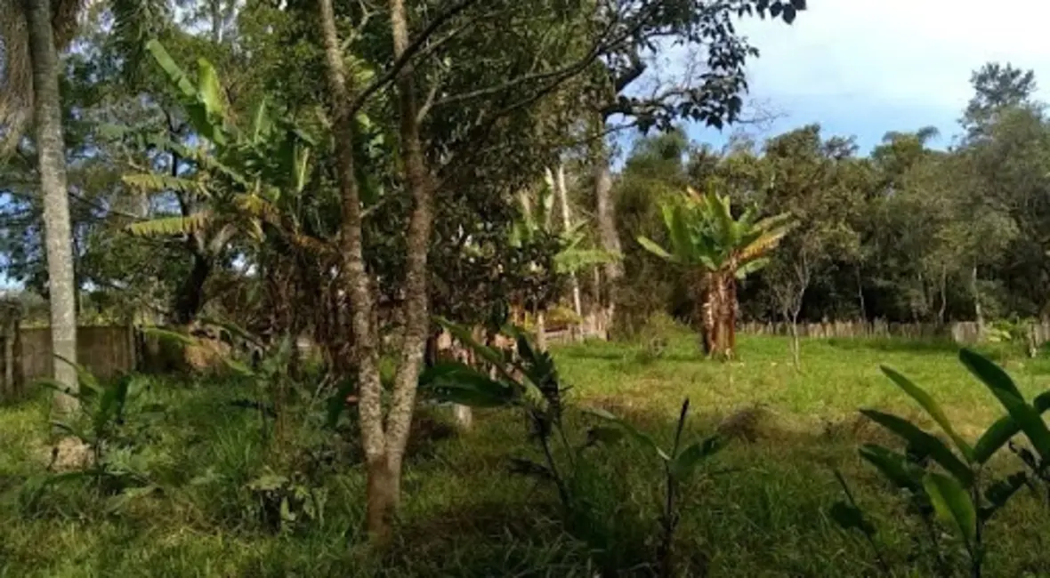 Terreno / Lote à venda, 6400m2 em Vila Caputera, Mogi Das Cruzes - SP - imagem 7 Foto 7 de Terreno / Lote à venda, 6400m2 em Vila Caputera, Mogi Das Cruzes - SP