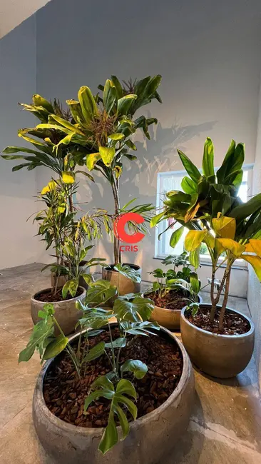 Foto 5 de Apartamento com 3 quartos à venda, 89m2 em Universitário, Bento Goncalves - RS