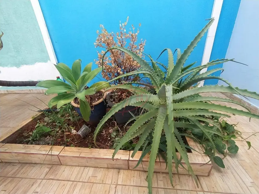 Foto 9 de Casa com 3 quartos à venda, 185m2 em Conjunto Habitacional Vila Réggio, Campinas - SP