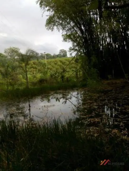 Foto 8 de Sítio / Rancho com 2 quartos à venda, 42000m2 em Limeira - SP