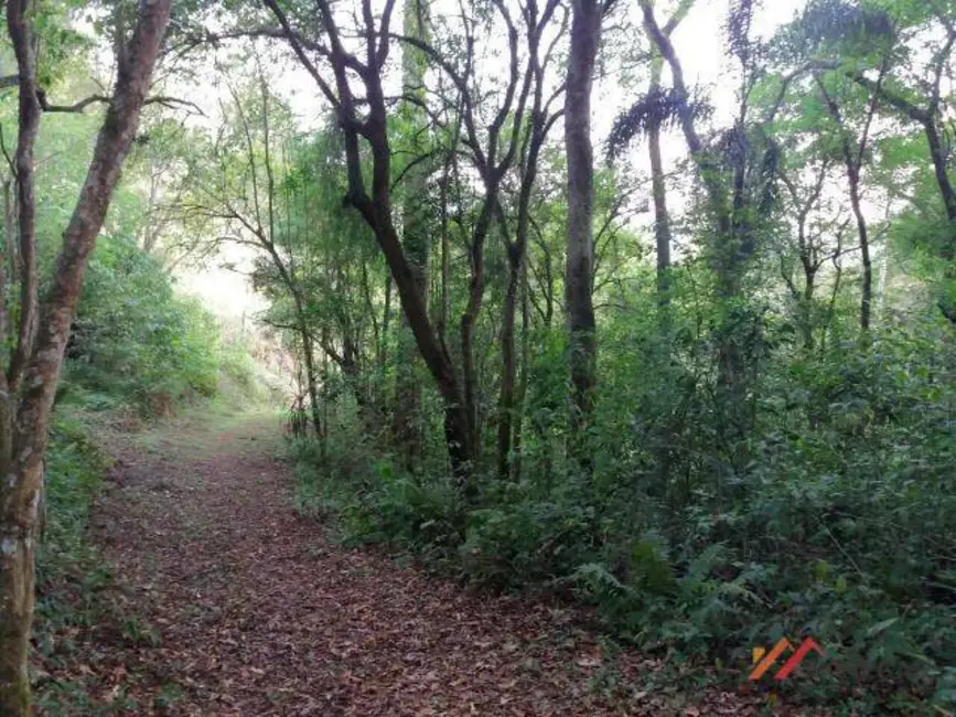 Foto 9 de Sítio / Rancho com 3 quartos à venda, 81500m2 em Ibiuna - SP