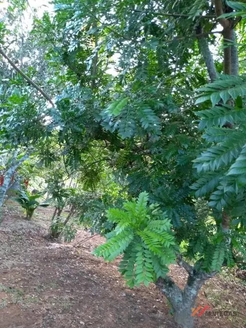Foto 5 de Sítio / Rancho com 3 quartos à venda, 1772m2 em Ibiuna - SP