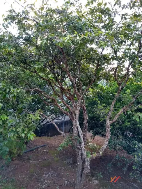 Foto 9 de Sítio / Rancho com 3 quartos à venda, 1772m2 em Ibiuna - SP