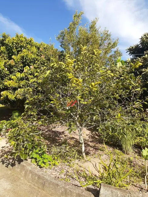 Foto 7 de Chácara com 1 quarto à venda, 1120m2 em Ibiuna - SP