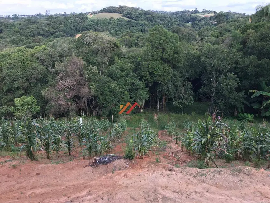 Foto 7 de Sítio / Rancho com 3 quartos à venda, 17000m2 em Ibiuna - SP