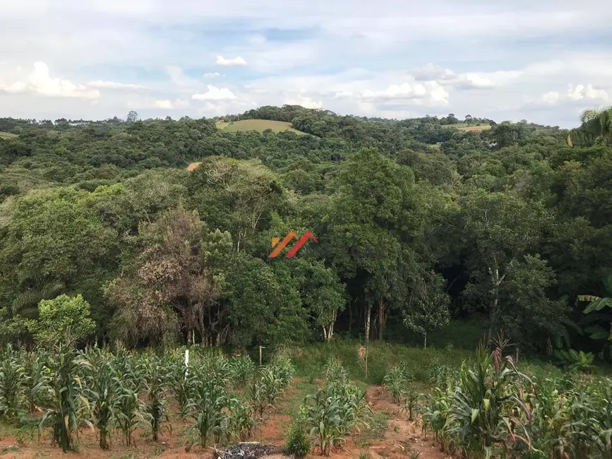 Foto 3 de Sítio / Rancho com 3 quartos à venda, 17000m2 em Ibiuna - SP