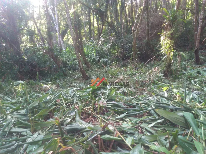 Foto 4 de Terreno / Lote à venda, 5400m2 em Ibiuna - SP