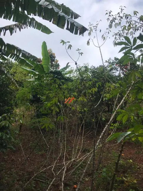 Foto 6 de Terreno / Lote à venda, 1000m2 em Ibiuna - SP