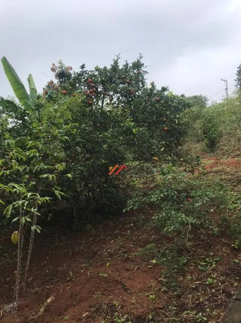 Foto 5 de Terreno / Lote à venda, 1000m2 em Ibiuna - SP