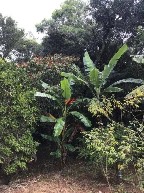 Foto 4 de Terreno / Lote à venda, 1000m2 em Ibiuna - SP